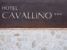 Hotel Cavallino